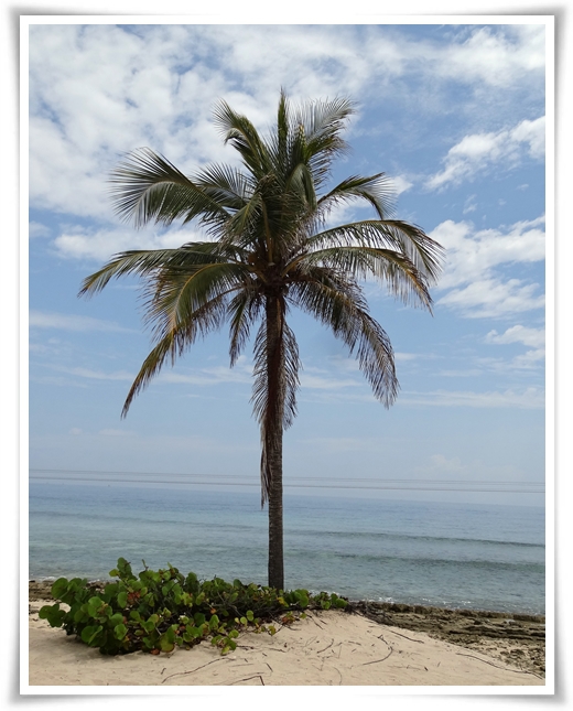 LABADEE -Haiti