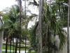Fort Lauderdale - Hyatt-3- Karibik