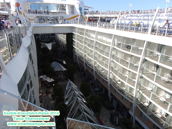 Pflanzenpark Allure of the Seas