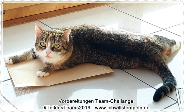 Teamaufgabe 2019 - ichwillstempeln (19)