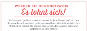 Als Demonstrator einsteigen